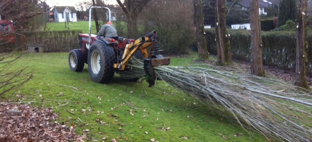 transport de branches